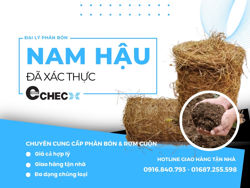 Đại lý phân bón Nam Hậu xác thực thông tin doanh nghiệp tại Echeck