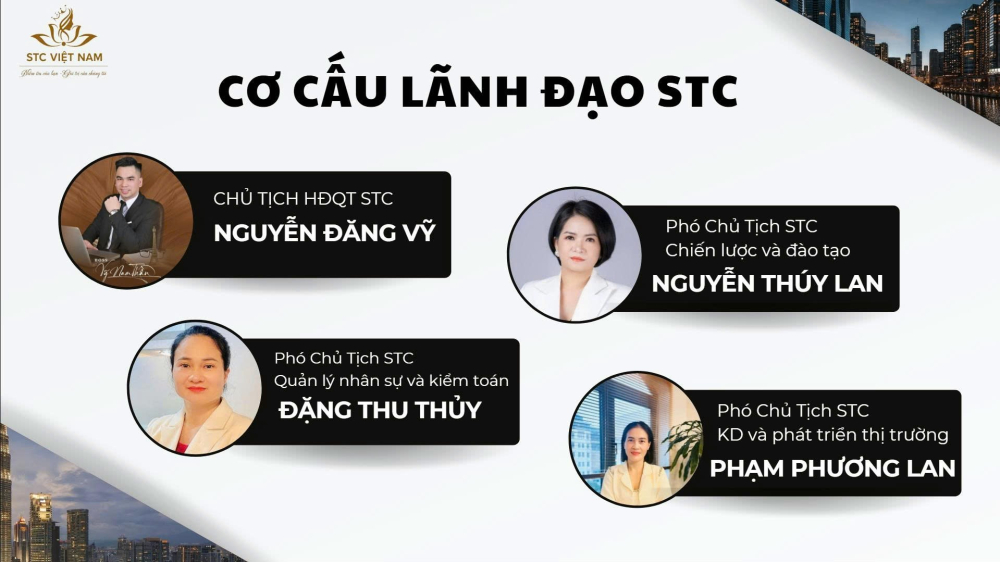 cong ty co phan dau tu va thuong mai stc viet nam