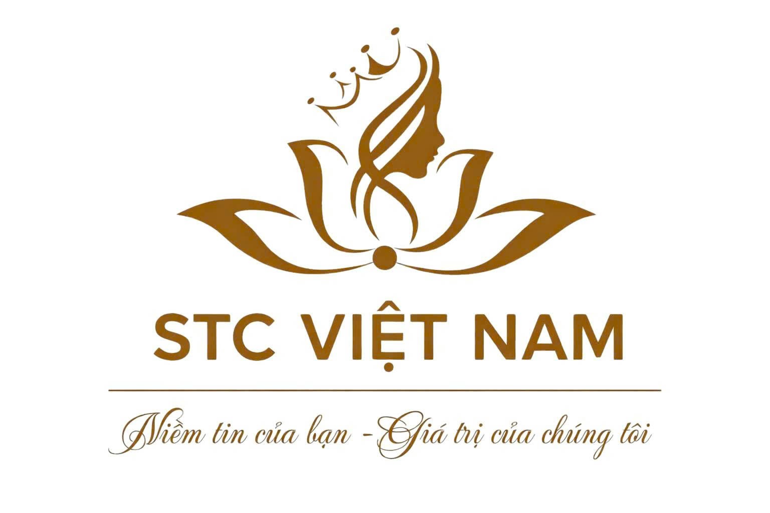 cong ty co phan dau tu va thuong mai stc viet nam