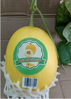 ho kinh doanh dua luoi tai loc