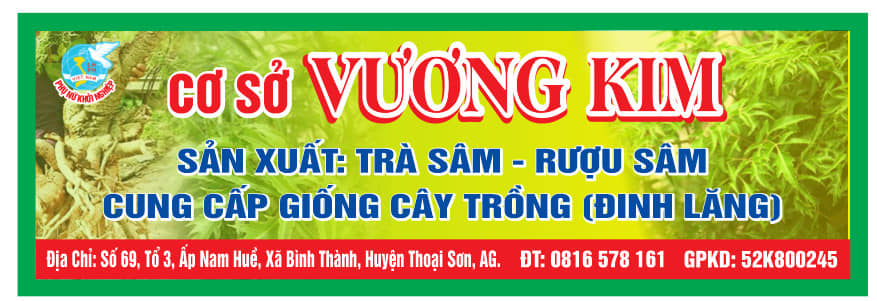 ho kinh doanh vuong kim