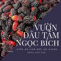 ho kinh doanh ngoc bich