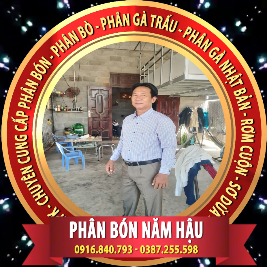 ho kinh doanh nguyen van hau